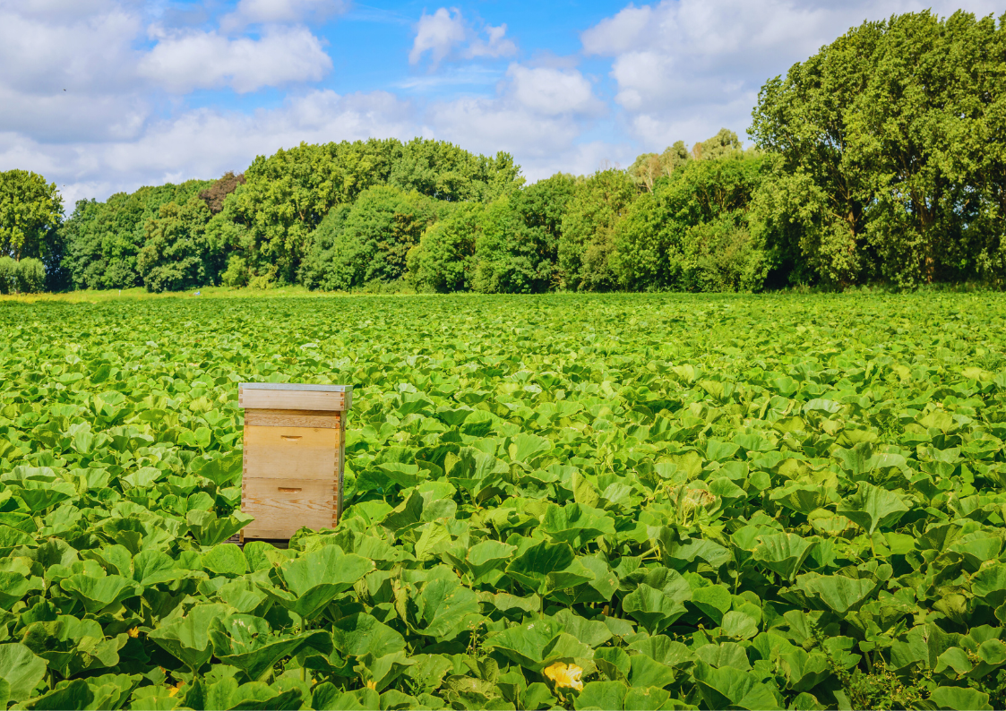 FarmLens Agricore Hub hardware and dashboard